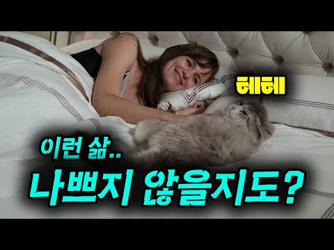 부잣집 고양이로 환생하면 생기는 일.......고양이가 부러운 건 기분 탓인가....ㅜㅠ[영화리뷰, 결말포함]