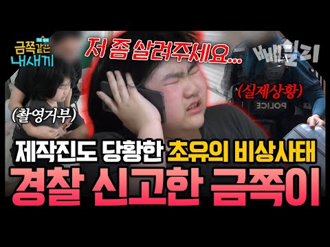 *금쪽이 최초* 촬영 중 경찰 출동 사태 엄마 폭행에 촬영 거부까지, 결국 신고까지️제작진도 얼어붙은 충격 현장 | 금쪽같은 내새끼 255회