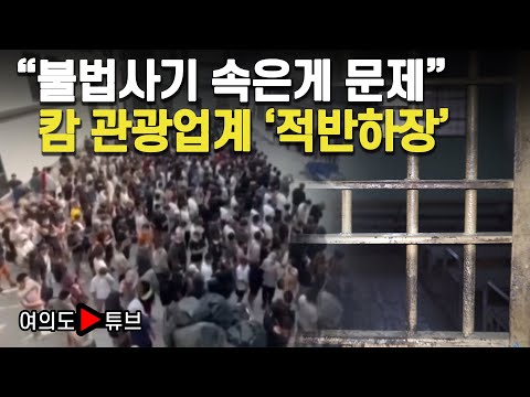 [여의도튜브] “불법사기 속은게 문제” 캄 관광업계 ‘적반하장’ / 머니투데이방송