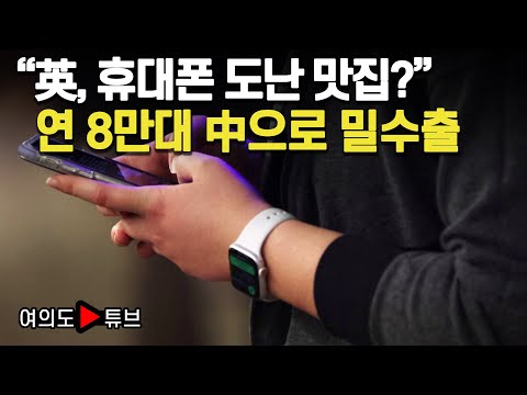 [여의도튜브] “英, 휴대폰 도난 맛집?” 연 8만대 中으로 밀수출 /머니투데이방송