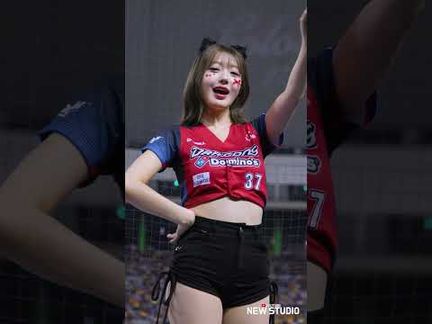 " 애 보려고 대만 다니는중... " 250831 권희원 치어리더 직캠