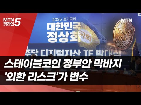 스테이블코인 정부안 막바지…'외환 리스크'가 변수  / 머니투데이방송 (뉴스)