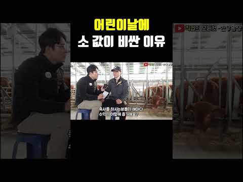 어린이날에 소 값이 비싼 이유
