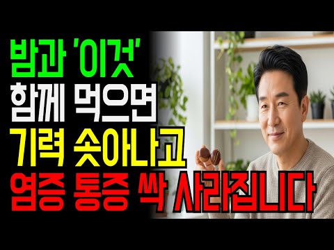 밤과 함께 먹으면 보약되는 음식 3가지와 레시피 총정리!｜“보약보다 강한 밤의 힘! 허리·설사·기력 회복하는 밤 활용법"