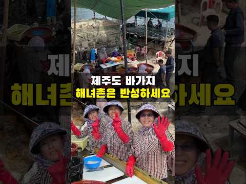 지도에도 안나오는 부산 해녀촌