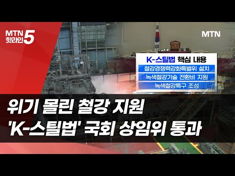 위기 몰린 철강 지원 'K-스틸법' 국회 상임위 통과 / 머니투데이방송 (뉴스)