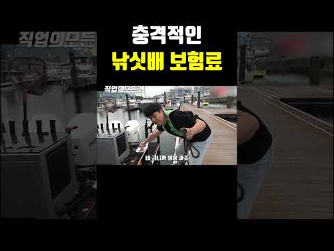충격적인 낚싯배 보험료 https://op.opparadise.com/data/apms/video/youtube/JjVA2MxClgI.jpg 충격적인 낚싯배 보험료