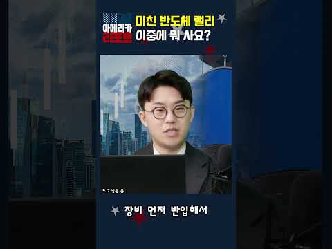 [매아리] 미친 반도체 랠리 이중에 뭐 사요?