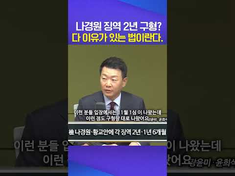 징역 2년 #나경원