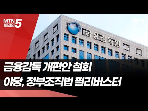 당정대, 금융·감독 개편안 철회…야, 정부 조직법 필리버스터  / 머니투데이방송 (뉴스)