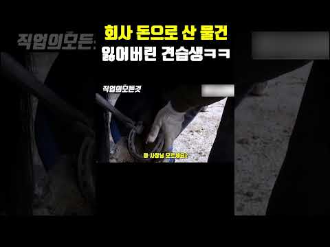 회사 돈으로 산 물건 잃어버린 견습생 ㅋㅋ