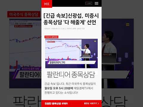 팔란티어 종목상담