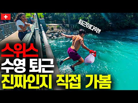 지옥철 대신 수영해서 출퇴근한다는 스위스 근황-스위스(1)