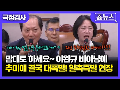 "윤석열 변호사 아니에요?" 서영교가 툭 던진말에 "함부로 말씀하지 마세요!!!" 처음으로 입 뗐다 긁힌 이완규 ㅋㅋ #이완규 #윤석열 #추미애