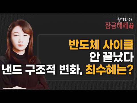 [유영화의 잠금해제] 반도체 사이클 안 끝났다 낸드 구조적 변화, 최수혜는? / 머니투데이방송 (증시, 증권)
