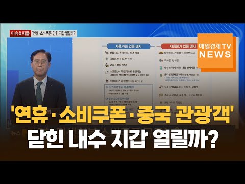 [이슈&피플] '연휴·소비쿠폰·중국 관광객', 닫힌 내수 지갑 열릴까? / 김대종 / 세종대 경영학부 교수