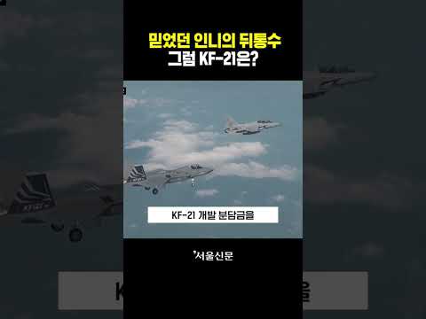 믿었던 인도네시아의 뒤통수