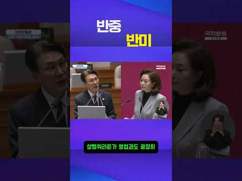 반중 반미 #김민전