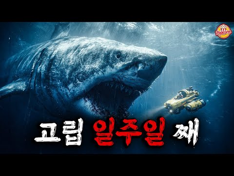 무전도 휴대폰도 안되는 시추선에 고립되어 변종 메갈로돈의 먹이가 된다는 미친소재로 재밌었던 공포영화 【결말포함】