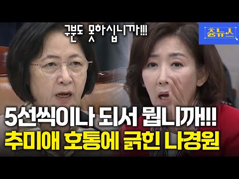 5선 씩이나 되서 뭡니까! 추미애 단전에서 끌어올린 호통에 제대로 긁힌 나경원 #추미애 #나경원