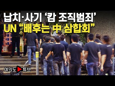 [여의도튜브] 납치·사기 ‘캄 조직범죄’ UN “배후는 中 삼합회” / 머니투데이방송