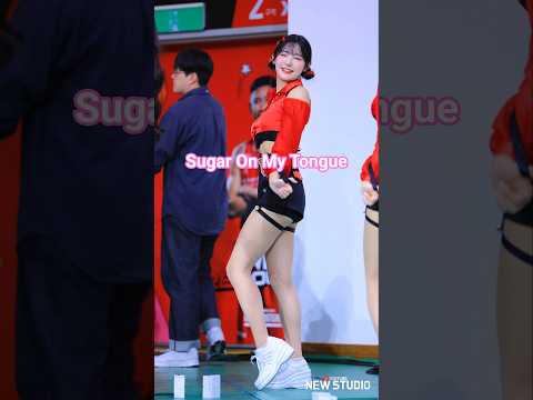 " 안양에 유행돌고있는 sugar on my tongue " 고가빈 치어리더 직캠 251022