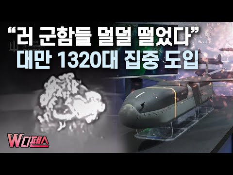 [W디펜스] "러 군함들 덜덜 떨었다" 대만 1320대 집중 도입 / 머니투데이방송