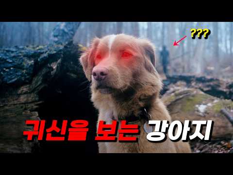 2025년 가장 ≪소름 끼치고 슬픈 공포 영화≫