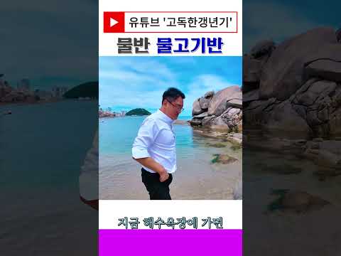 강원도 물반 물고기가 반이라고!?