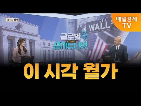 [글로벌 증시 투나잇] 이 시각 월가 / 황윤석 타이거인베스트 대표