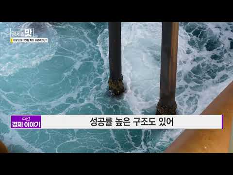 [주간 경제 이야기] 대왕고래 대신할 차기 유망구조는? / 머니투데이방송