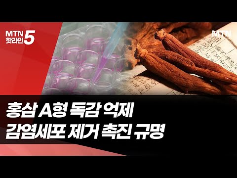 면역관리 끝판왕 홍삼 " A형 독감 바이러스 억제에 효과" 국내 첫 규명 / 머니투데이방송 (뉴스) https://op.opparadise.com/data/apms/video/youtube/R4u6u8VKcMU.jpg 면역관리 끝판왕 홍삼 " A형 독감 바이러스 억제에 효과" 국내 첫 규명 / 머니투데이방송 (뉴스)