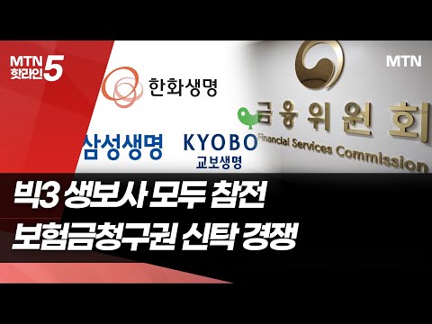 빅3 생보사 모두 참전…보험금청구권 신탁 경쟁  / 머니투데이방송 (뉴스)