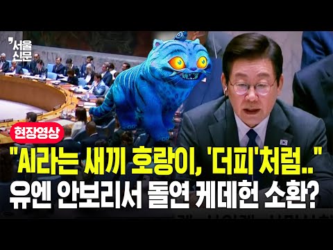 "새끼 호랑이 AI, 맹수 아닌 '더피'로"...이재명 대통령, 유엔 안보리서 갑자기 케데헌 소환?