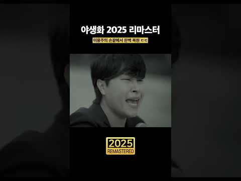 박효신 야생화 2025 버전 (Remastered)