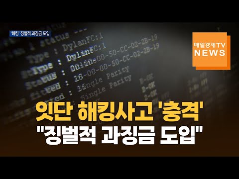 잇단 해킹사고 '충격'…"징벌적 과징금 도입"