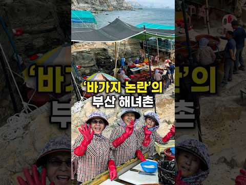바가지 논란의 부산 해녀촌