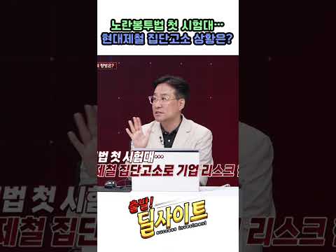 노란봉투법 첫 시험대… 현대제철 집단고소 상황은?