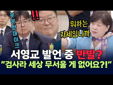 서영교 발언 중 반발? “검사라 세상 무서울 게 없어요?!” -2025년 9월 22일 법제사법위원회