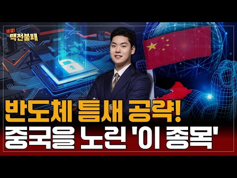 반도체 중국판 엔비디아가 뜬다!? 중국 시장을 노리는 반도체 종목은?
