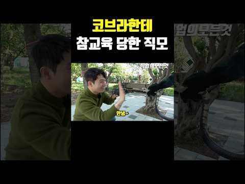 코브라한테 참교육 당한 직모
