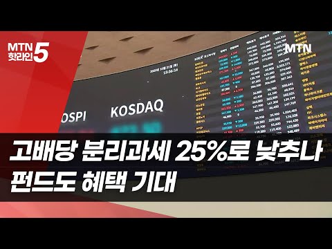고배당주 분리과세 최고세율 25% 되나…펀드도 혜택 기대감 / 머니투데이방송 (뉴스)