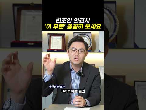 변호인 의견서, 이 부분 꼼꼼히 보세요｜검사출신변호사