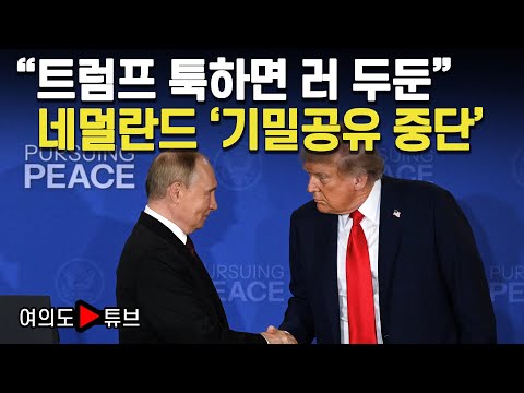 [여의도튜브] “트럼프 툭하면 러 두둔” 네덜란드 ‘기밀공유 중단’ / 머니투데이방송
