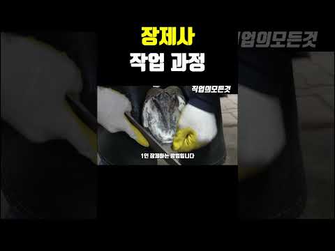장제사 작업 과정