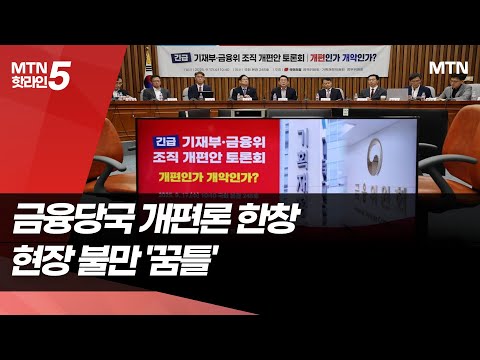 금융당국 개편 논란… 野 토론회서 비판 봇물 / 머니투데이방송 (뉴스)