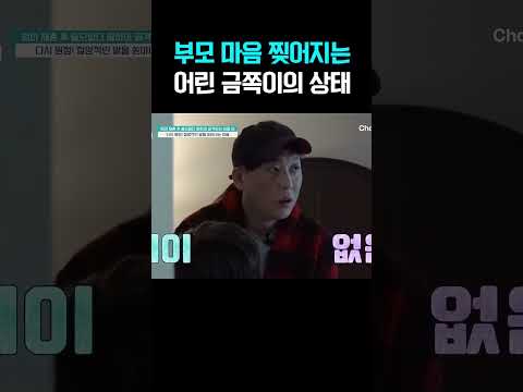 부모 마음을 찢어버린 어린 금쪽이의 흉측한 말 #금쪽같은내새끼