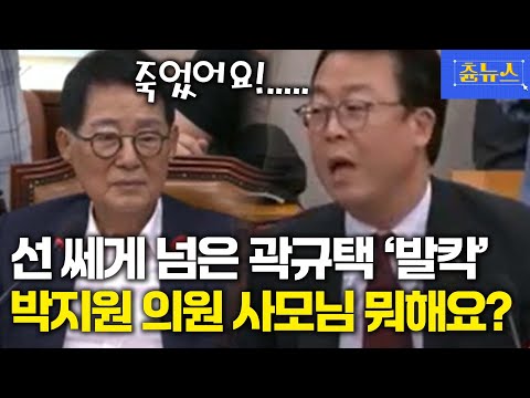 박지원 의원 한테 사모님 뭐해요? 와.. 선 제대로 넘은 곽규택 질의에 법사위 '발칵'
