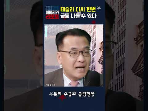 [매아리] 테슬라 다시 한번 급등 나올 수 있다