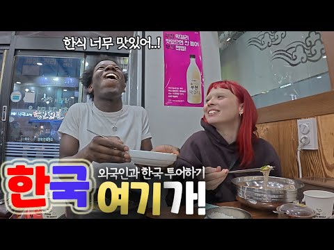 한국에 1년 동안 일하러 온 유럽친구들 밥 사주기  [한국 여기가! ep.15]
